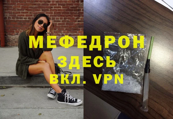 сатива Няндома