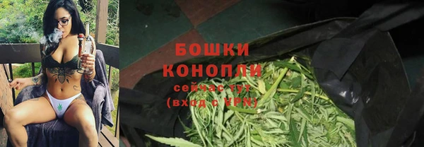 индика Новодвинск