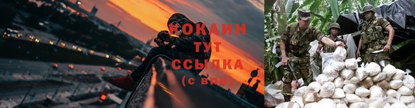 стафф Нягань