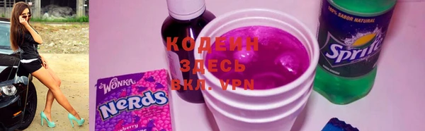 сатива Няндома