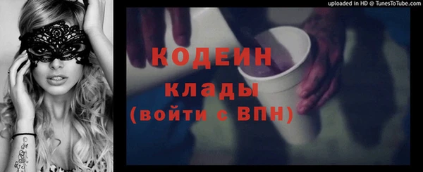 сатива Няндома