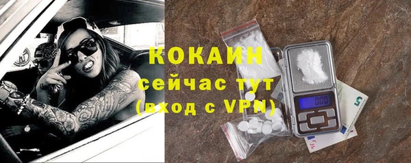 сатива Няндома