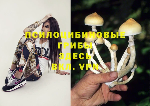 сатива Няндома