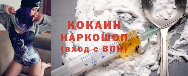 сатива Няндома