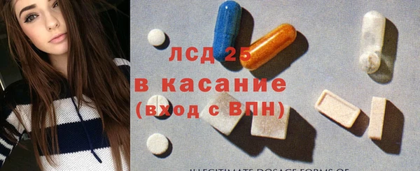 сатива Няндома