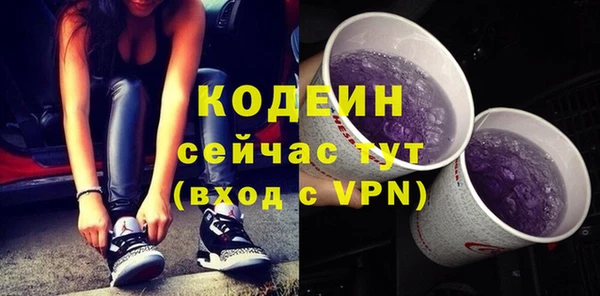 сатива Няндома
